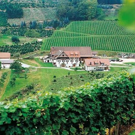 Ferienwohnung Weingut Alfred Huber Durbach Exterior foto