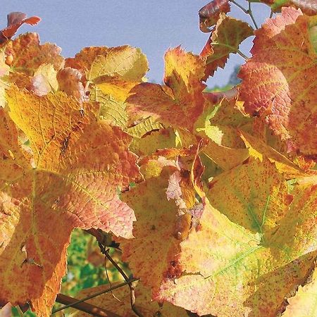 Ferienwohnung Weingut Alfred Huber Durbach Exterior foto